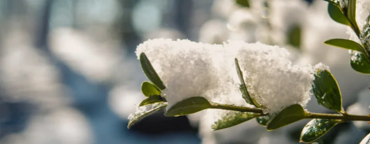 sijoituskvartaalin raportti