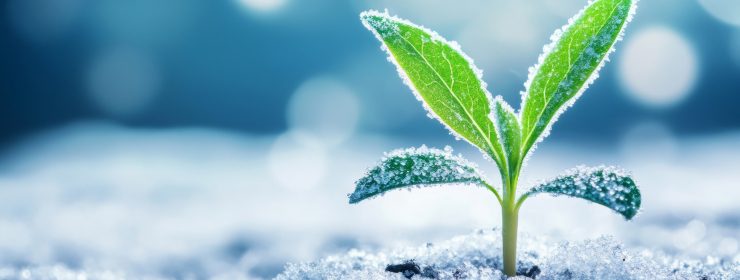 M&A exitit jumissa - elpymistä ensi vuoden puolella